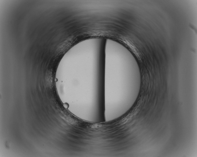 X0000096660261200802191313