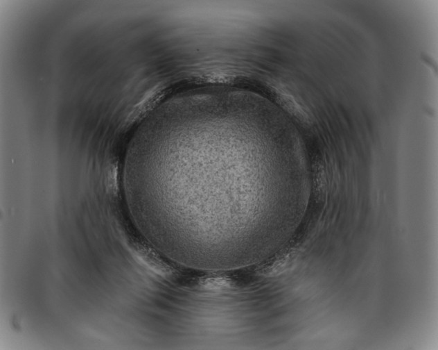 X0000096660262200802191313