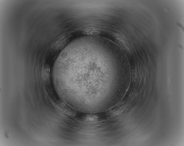 X0000096660263200802191313