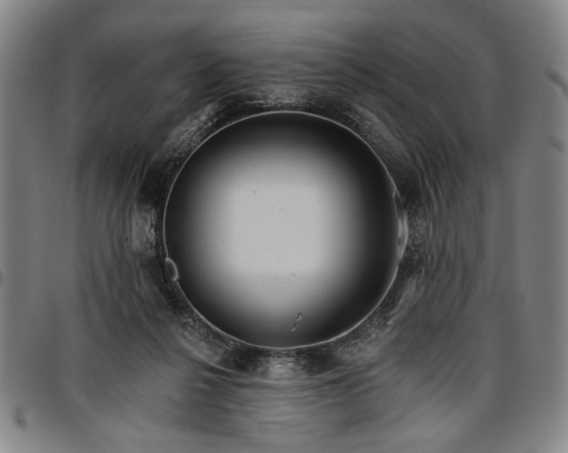 X0000096660264200802191313