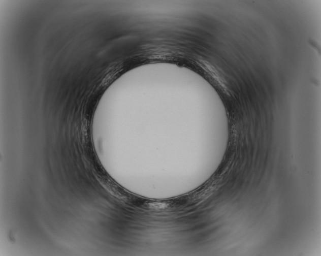 X0000096660265200802191313