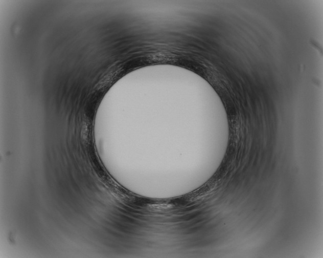 X0000096660266200802191313