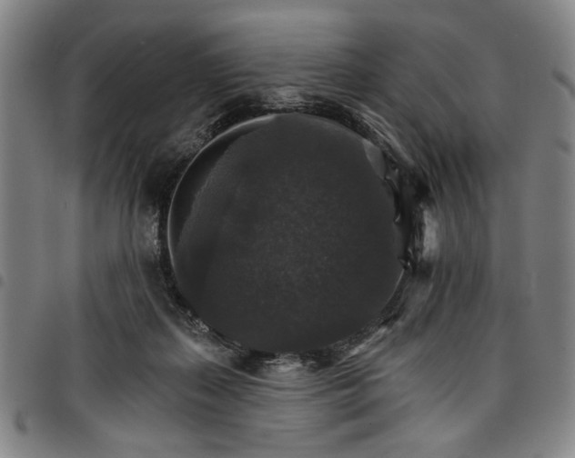 X0000096660267200802191313