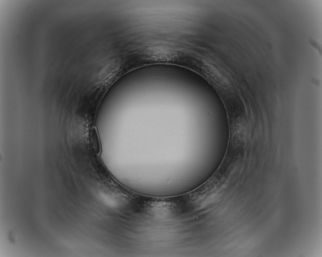 X0000096660268200802191313