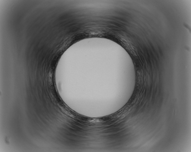 X0000096660269200802191314