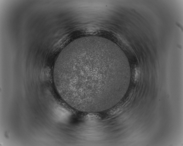 X0000096660270200802191314