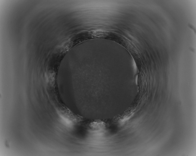 X0000096660271200802191314