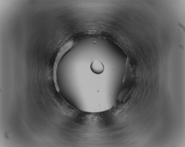 X0000096660272200802191314