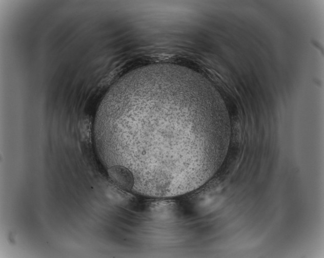 X0000096660274200802191314