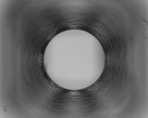 X0000096660275200802191314