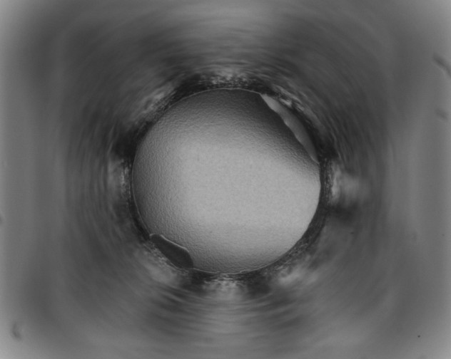 X0000096660276200802191314