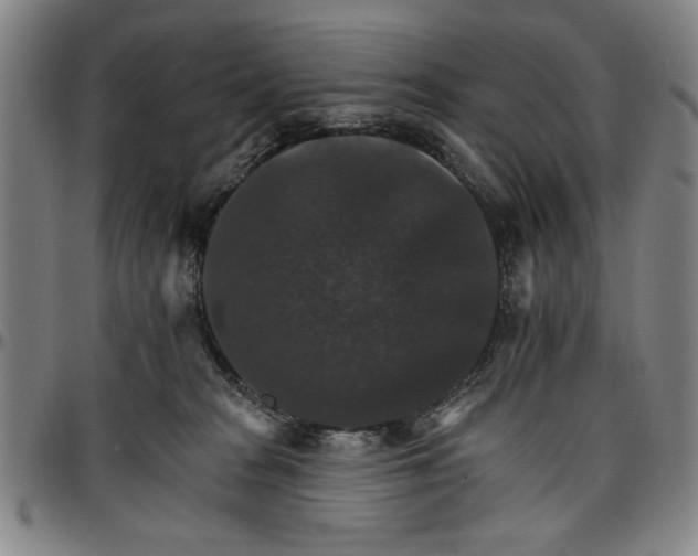 X0000096660277200802191314