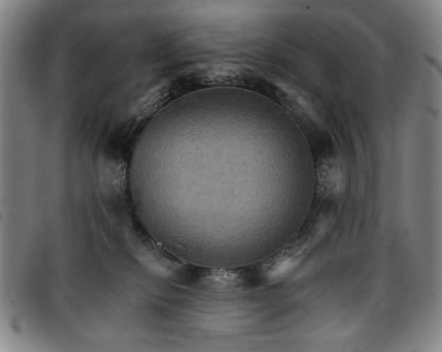 X0000096660278200802191314