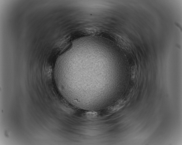 X0000096660279200802191314