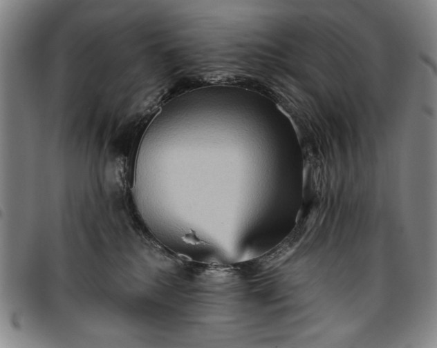 X0000096660280200802191314