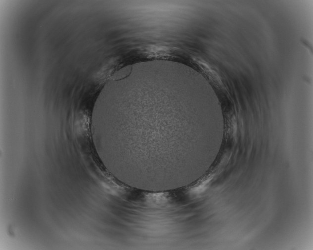 X0000096660281200802191314