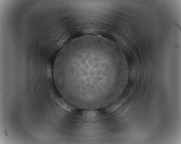 X0000096660282200802191314