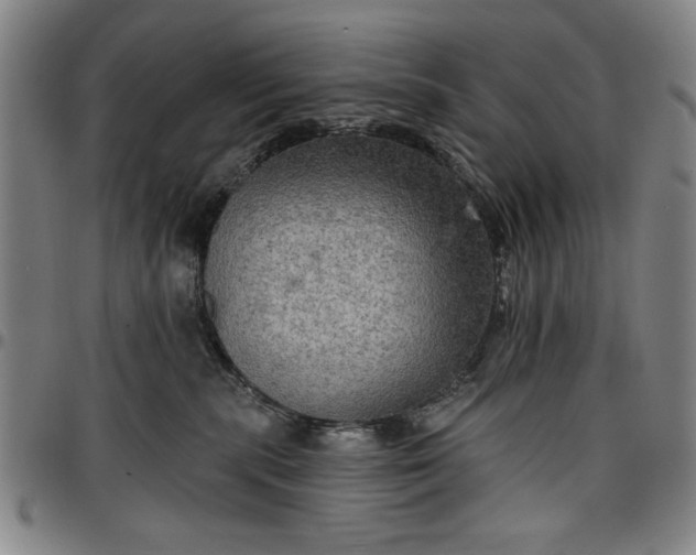 X0000096660283200802191314