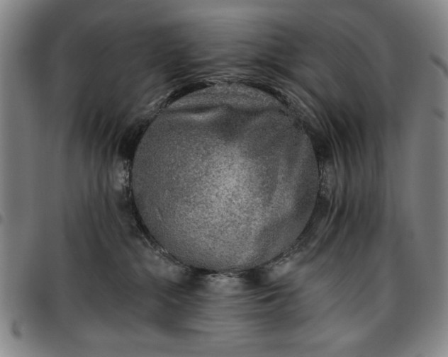 X0000096660284200802191314