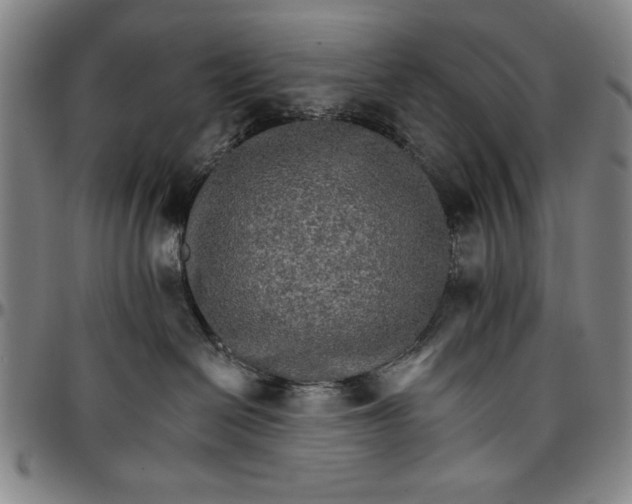 X0000096660286200802191314