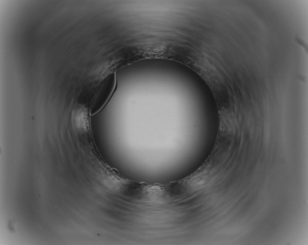 X0000096660287200802191314