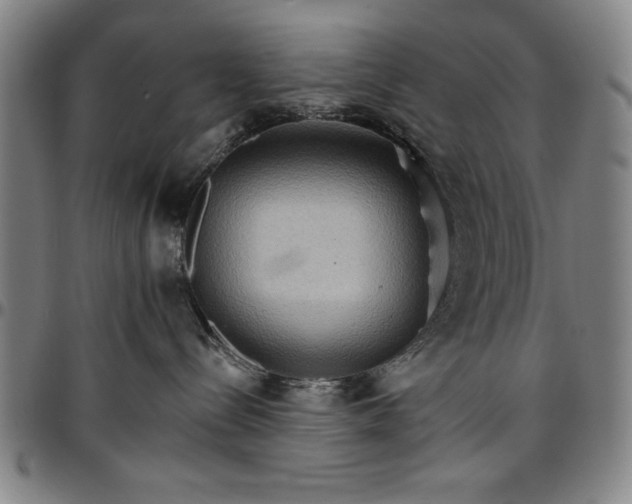 X0000096660288200802191314