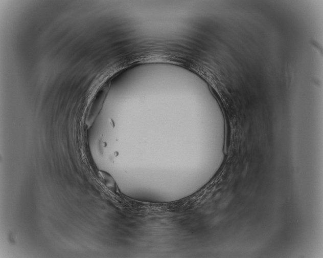 X0000096660289200802191313