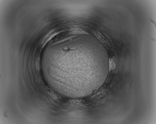 X0000096660291200802191313