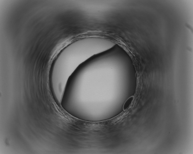 X0000096660293200802191313