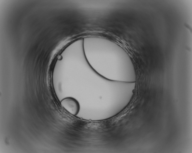 X0000096660294200802191313