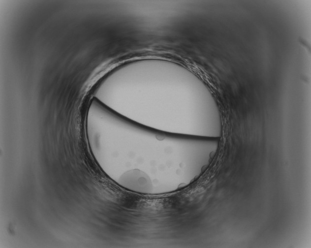 X0000096660295200802191313