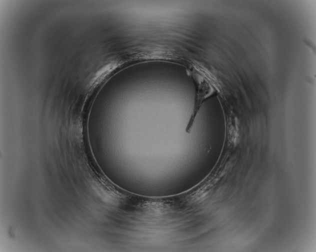 X0000096660298200802191313