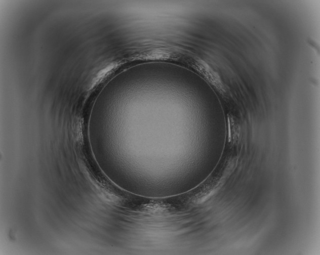 X0000096660300200802191313