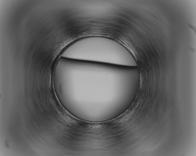 X0000096660301200802191313