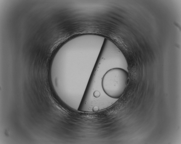 X0000096660303200802191313