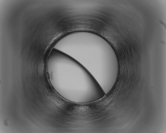 X0000096660304200802191313