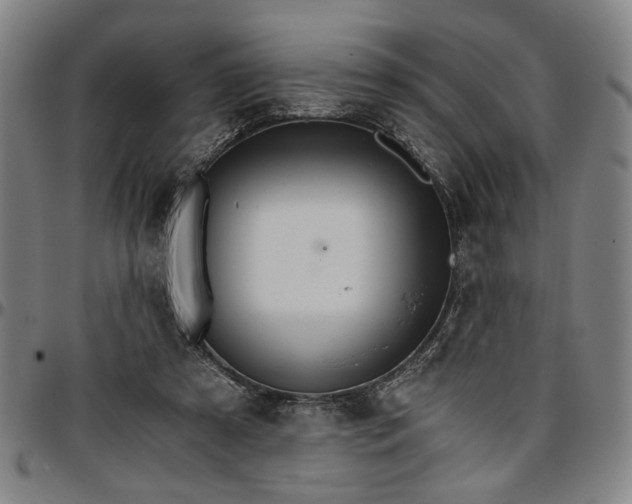 X0000096660305200802191313