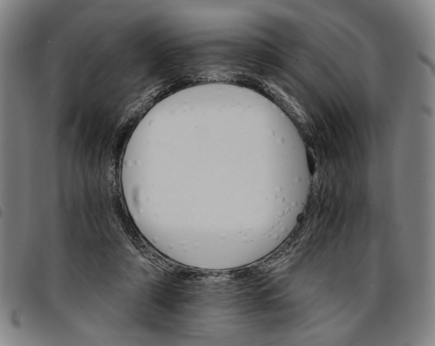 X0000096660306200802191313