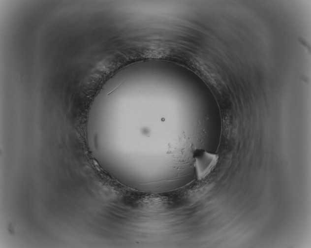 X0000096660307200802191313