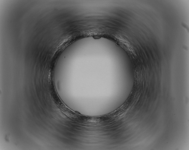 X0000096660308200802191313