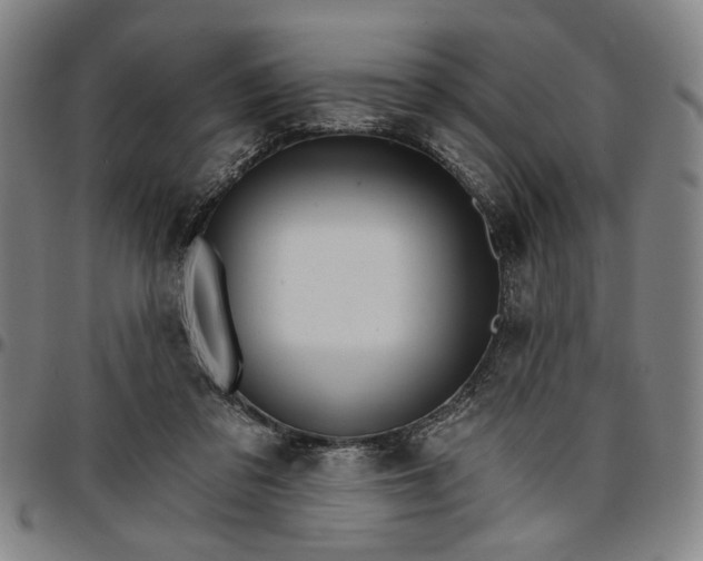 X0000096660309200802191313