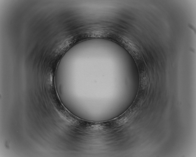 X0000096660310200802191313