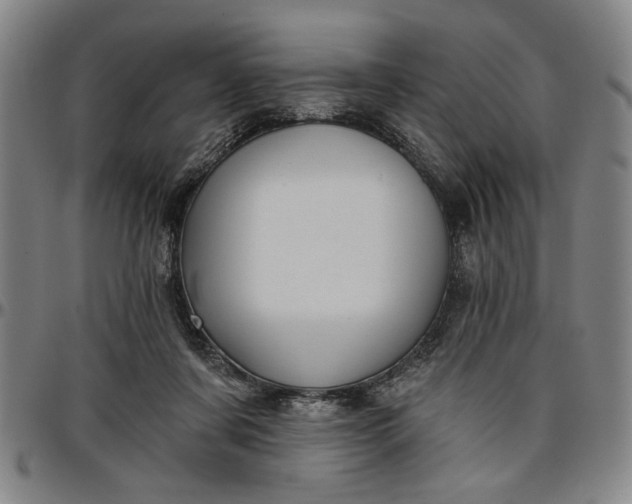 X0000096660311200802191313