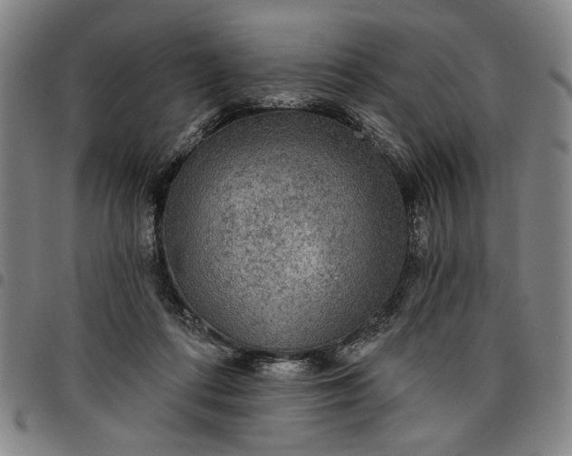 X0000096660312200802191313