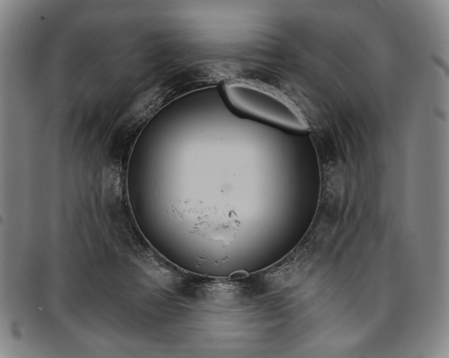 X0000096660313200802191313