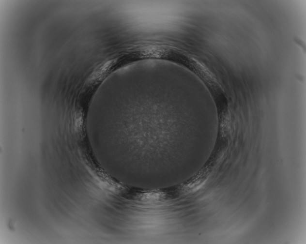 X0000096660314200802191313