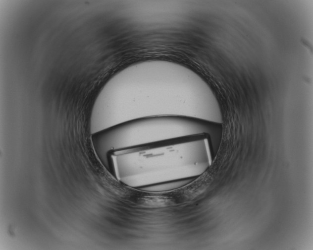 X0000096660316200802191313