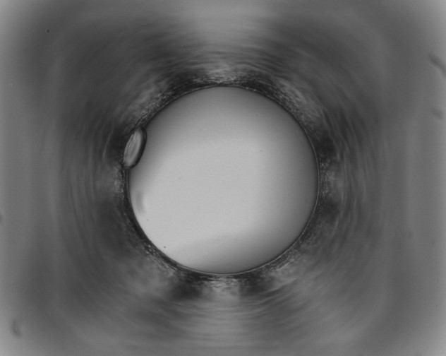 X0000096660317200802191313