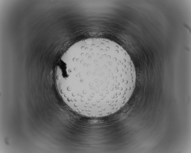 X0000096660319200802191313