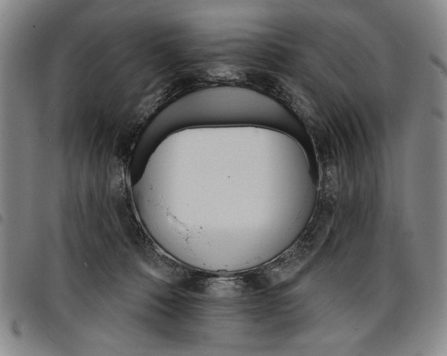 X0000096660320200802191313